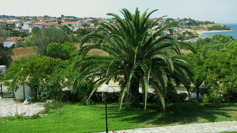 Villa Madeleine Tower View Néa Fókaia Bagian luar foto